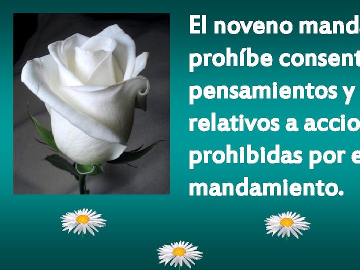 El noveno manda prohíbe consent pensamientos y relativos a accio prohibidas por e mandamiento. El noveno manda prohíbe consent pensamientos y relativos a accio prohibidas por e mandamiento.