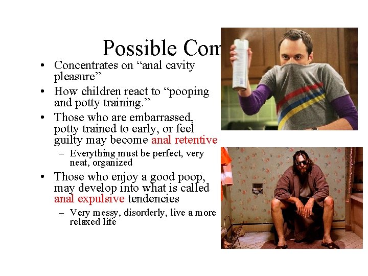 Possible Complex • Concentrates on “anal cavity pleasure” • How children react to “pooping