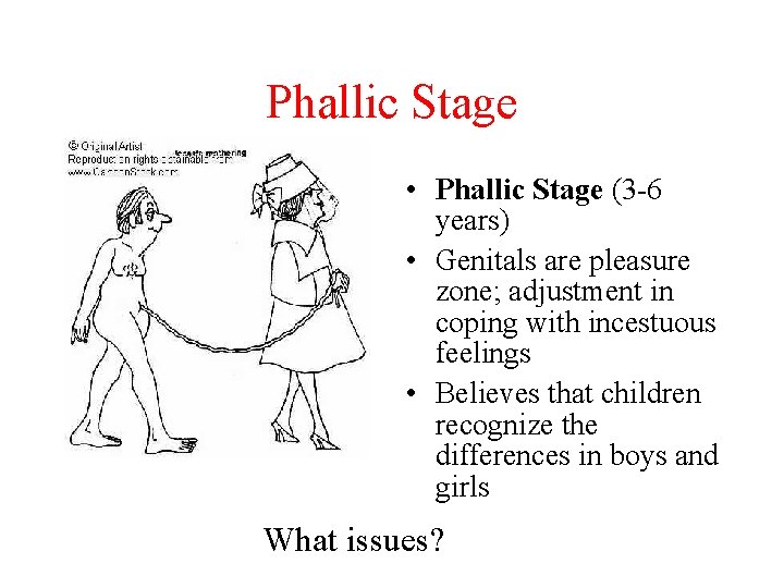 Phallic Stage • Phallic Stage (3 -6 years) • Genitals are pleasure zone; adjustment