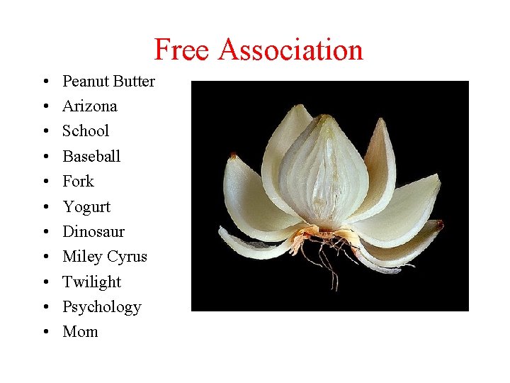Free Association • • • Peanut Butter Arizona School Baseball Fork Yogurt Dinosaur Miley