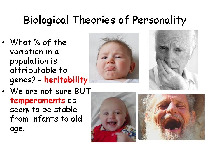 Biological Theories of Personality • What % of the variation in a population is