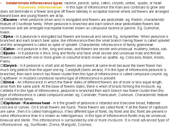  • Indeterminate inflorescence types: raceme, panicle, spike, catkin, corymb, umbel, spadix, or head