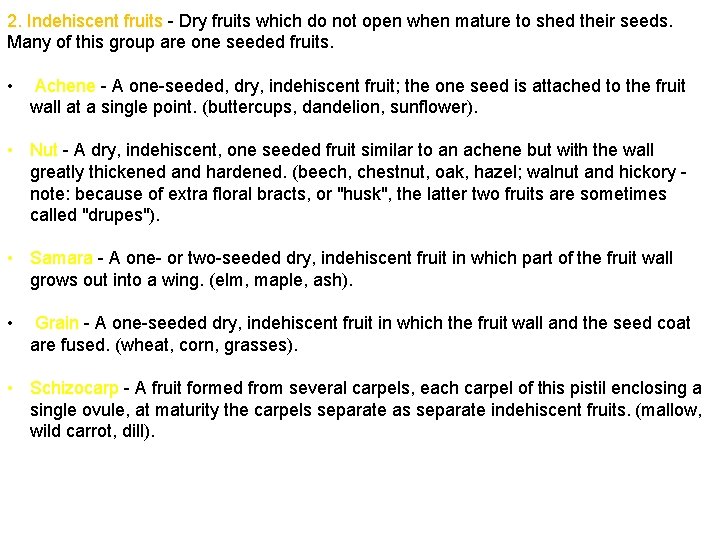 2. Indehiscent fruits - Dry fruits which do not open when mature to shed