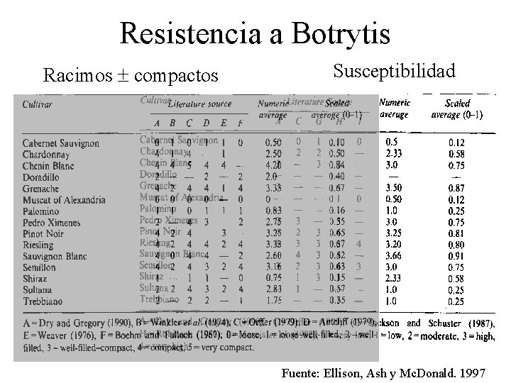 Resistencia a Botrytis Racimos compactos Susceptibilidad Fuente: Ellison, Ash y Mc. Donald. 1997 