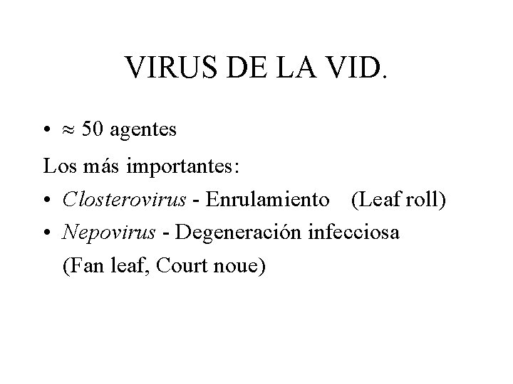 VIRUS DE LA VID. • 50 agentes Los más importantes: • Closterovirus - Enrulamiento