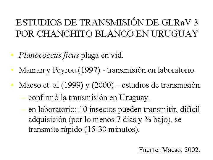 ESTUDIOS DE TRANSMISIÓN DE GLRa. V 3 POR CHANCHITO BLANCO EN URUGUAY • Planococcus