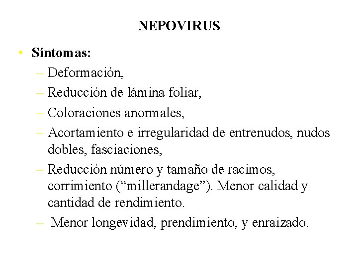 NEPOVIRUS • Síntomas: – Deformación, – Reducción de lámina foliar, – Coloraciones anormales, –