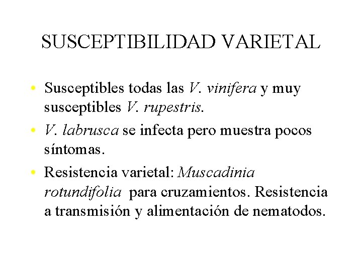 SUSCEPTIBILIDAD VARIETAL • Susceptibles todas las V. vinifera y muy susceptibles V. rupestris. •