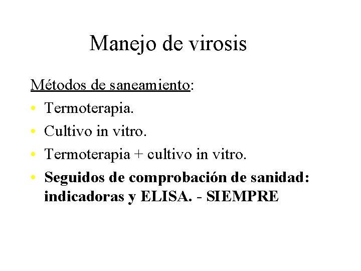 Manejo de virosis Métodos de saneamiento: • Termoterapia. • Cultivo in vitro. • Termoterapia