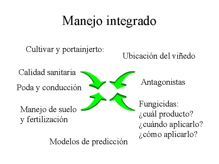 Manejo integrado Cultivar y portainjerto: Ubicación del viñedo Calidad sanitaria Poda y conducción Manejo