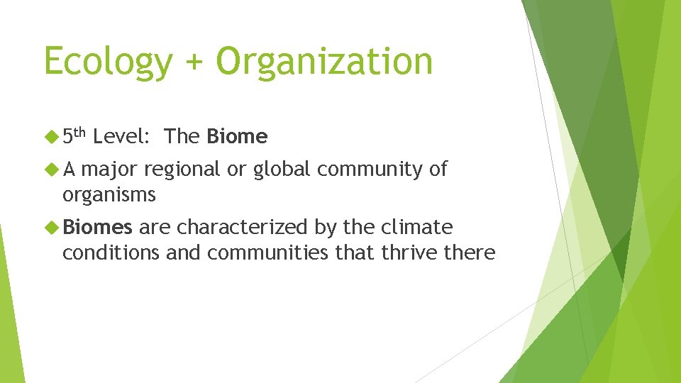 Ecology + Organization 5 th Level: The Biome A major regional or global community