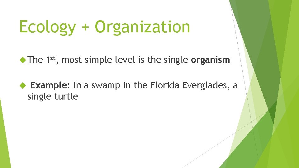 Ecology + Organization The 1 st, most simple level is the single organism Example:
