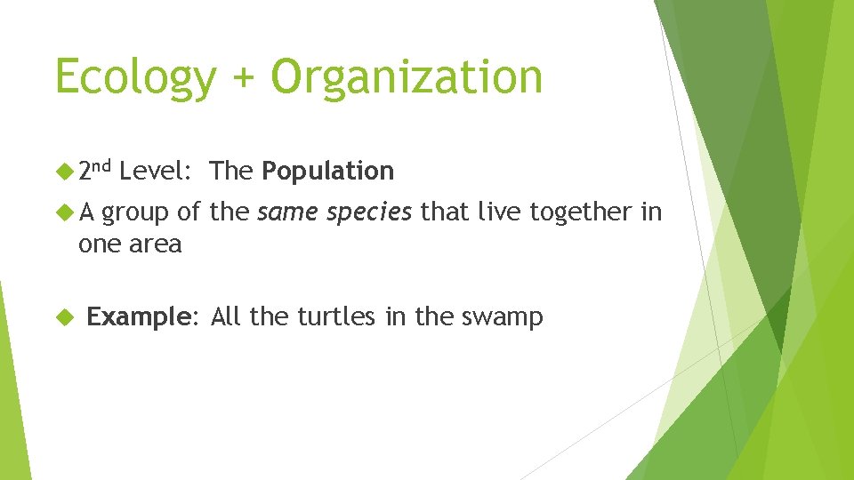 Ecology + Organization 2 nd Level: The Population A group of the same species