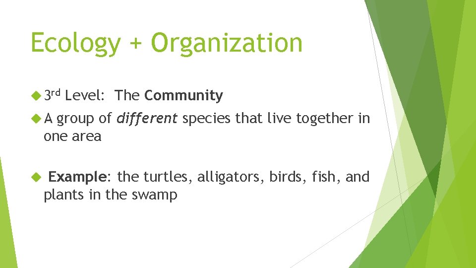 Ecology + Organization 3 rd Level: The Community A group of different species that