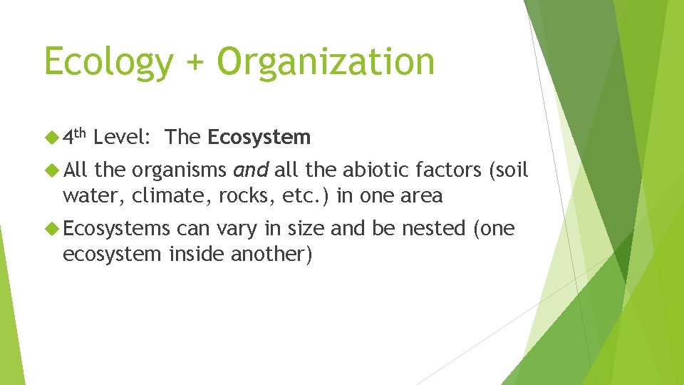 Ecology + Organization 4 th Level: The Ecosystem All the organisms and all the