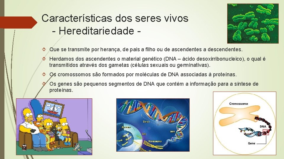 Características dos seres vivos - Hereditariedade Que se transmite por herança, de pais a