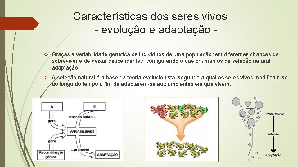 Características dos seres vivos - evolução e adaptação Graças a variabilidade genética os indivíduos