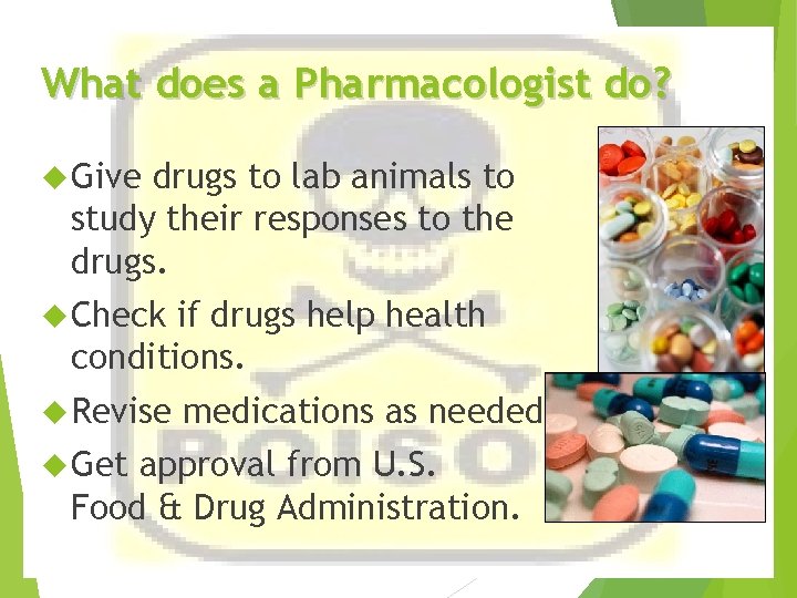 What does a Pharmacologist do? Give drugs to lab animals to study their responses