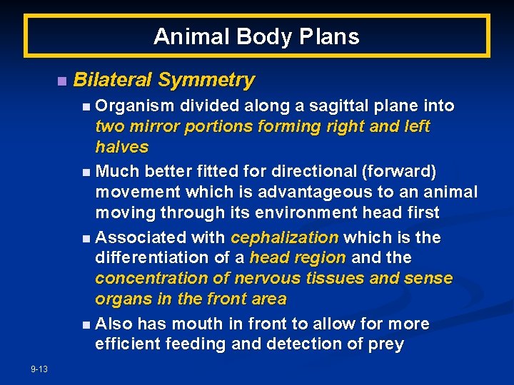 Animal Body Plans n Bilateral Symmetry n Organism divided along a sagittal plane into