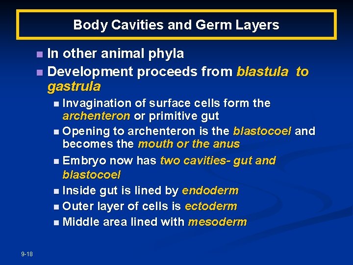 Body Cavities and Germ Layers In other animal phyla n Development proceeds from blastula