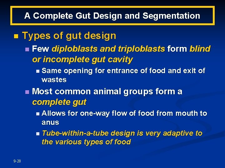 A Complete Gut Design and Segmentation n Types of gut design n Few diploblasts