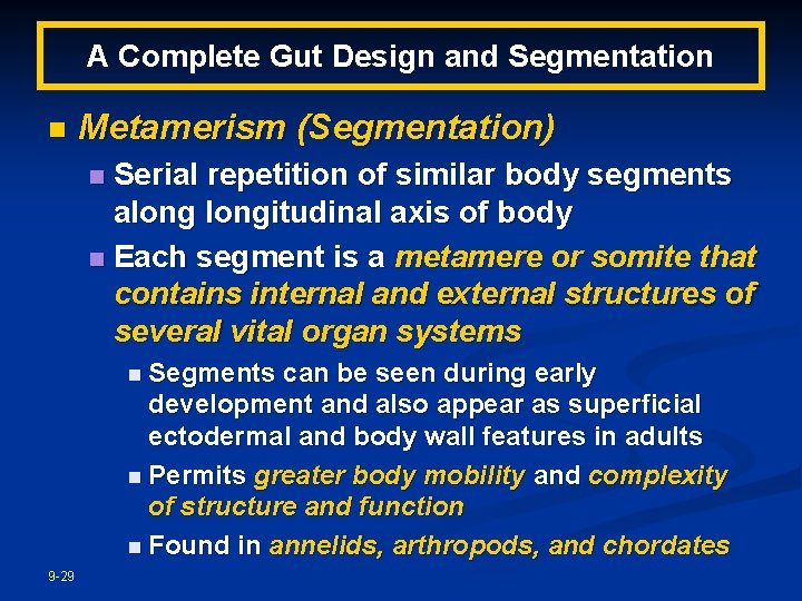 A Complete Gut Design and Segmentation n Metamerism (Segmentation) Serial repetition of similar body