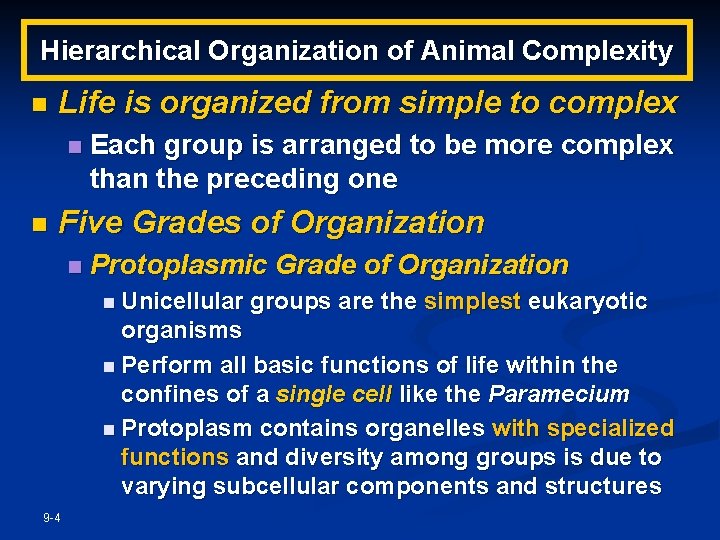 Hierarchical Organization of Animal Complexity n Life is organized from simple to complex n