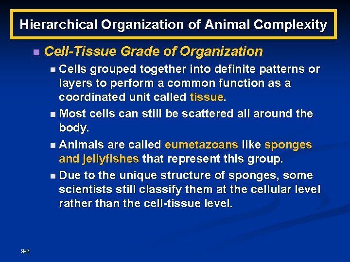 Hierarchical Organization of Animal Complexity n Cell-Tissue Grade of Organization n Cells grouped together