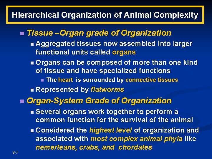 Hierarchical Organization of Animal Complexity n Tissue –Organ grade of Organization n Aggregated tissues