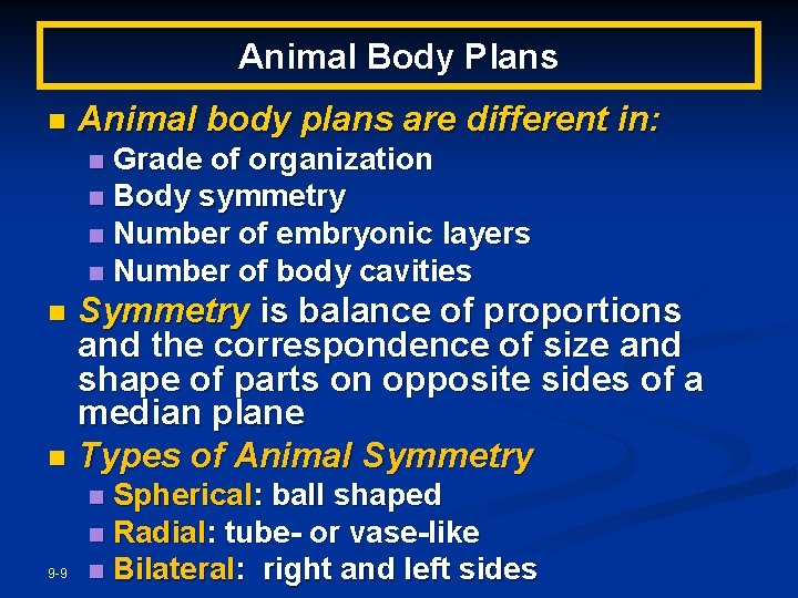 Animal Body Plans n Animal body plans are different in: Grade of organization n