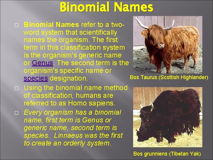 Binomial Names � � � Binomial Names refer to a twoword system that scientifically
