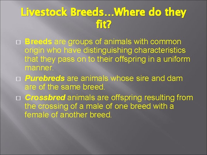 Livestock Breeds…Where do they fit? � � � Breeds are groups of animals with