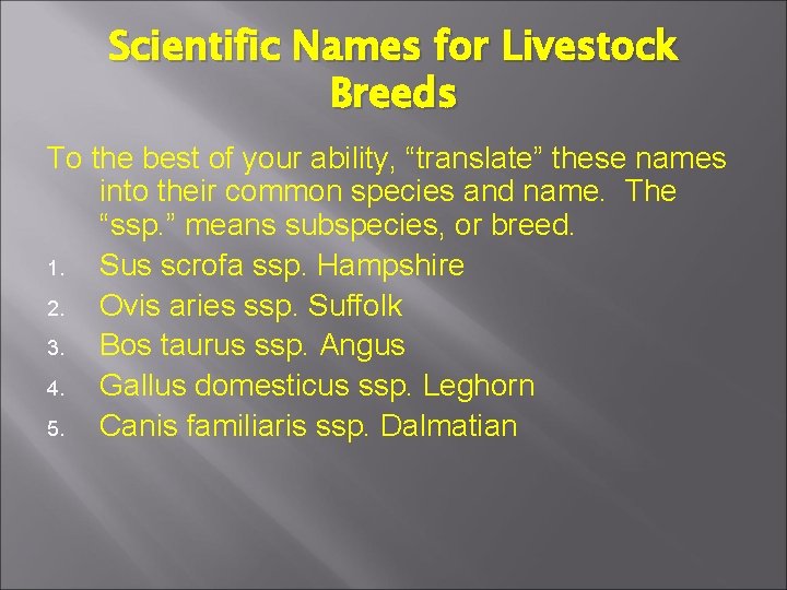 Scientific Names for Livestock Breeds To the best of your ability, “translate” these names