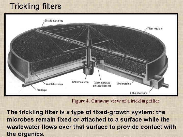 Trickling filters Figure 4. Cutaway view of a trickling filter The trickling filter is