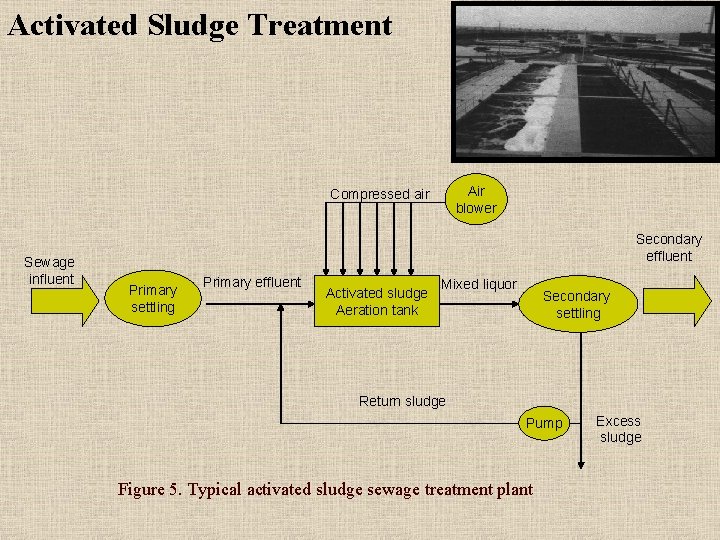 Activated Sludge Treatment Air blower Compressed air Sewage influent Secondary effluent Primary settling Primary