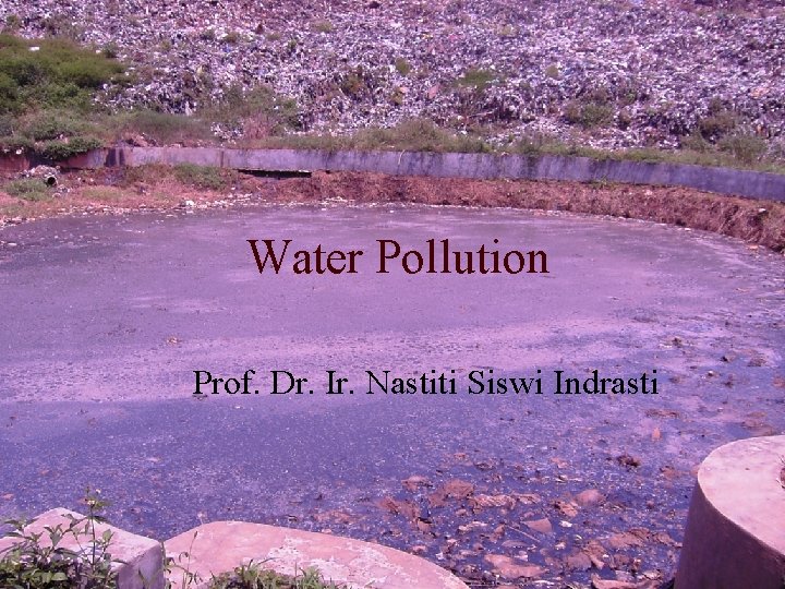 Water Pollution Prof. Dr. Ir. Nastiti Siswi Indrasti 