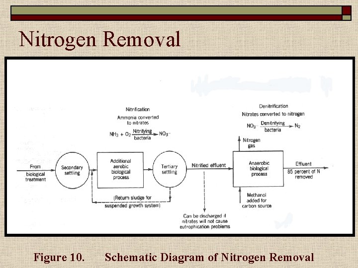 Nitrogen Removal Figure 10. Schematic Diagram of Nitrogen Removal 