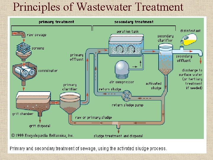 Principles of Wastewater Treatment 