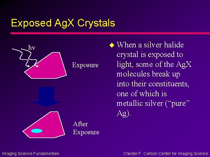 Exposed Ag. X Crystals u When hn Exposure a silver halide crystal is exposed
