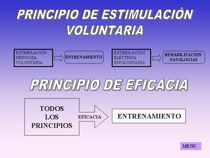 ESTIMULACIÓN NERVIOSA VOLUNTARIA ENTRENAMIENTO TODOS LOS PRINCIPIOS EFICACIA ESTIMULACIÓN ELÉCTRICA INVOLUNTARIA REHABILITACIÓN PATOLOGÍAS ENTRENAMIENTO