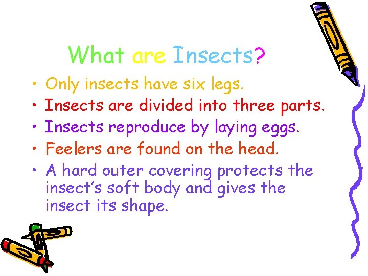 What are Insects? • • • Only insects have six legs. Insects are divided