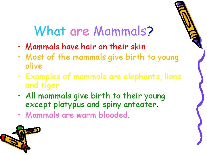 What are Mammals? • Mammals have hair on their skin • Most of the