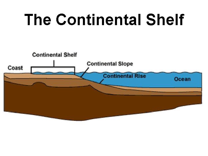 The Continental Shelf 