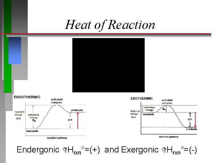 Heat of Reaction Endergonic Hrxn°=(+) and Exergonic Hrxn°=(-) 