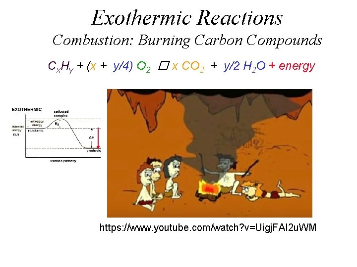 Exothermic Reactions Combustion: Burning Carbon Compounds Cx. Hy + (x + y/4) O 2