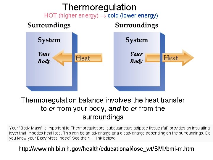 Thermoregulation HOT (higher energy) cold (lower energy) Your Body Thermoregulation balance involves the heat