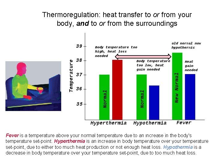 Thermoregulation: heat transfer to or from your body, and to or from the surroundings