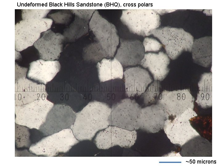 Undeformed Black Hills Sandstone (BHQ), cross polars ~50 microns 