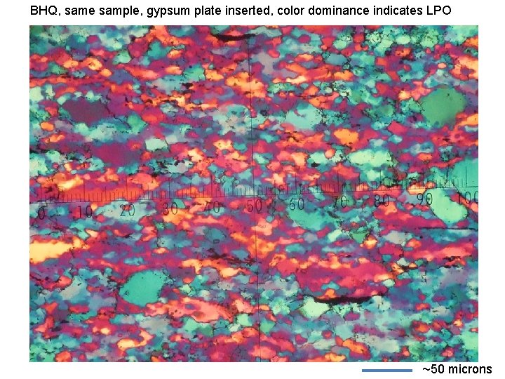 BHQ, same sample, gypsum plate inserted, color dominance indicates LPO ~50 microns 