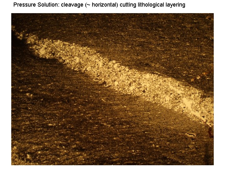 Pressure Solution: cleavage (~ horizontal) cutting lithological layering 